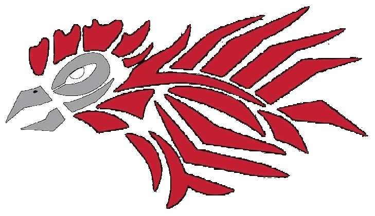 FB_IMG_1708538226887a